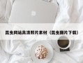 启东昆虫网站高清照片素材（昆虫图片下载）